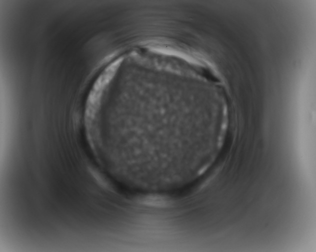 X0000085300063200703302010