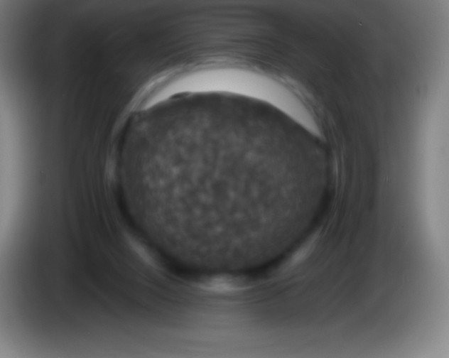 X0000085300064200703302010