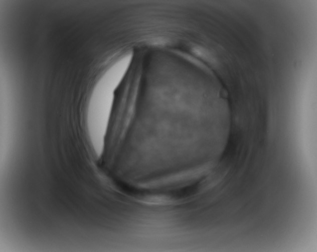 X0000085300066200703302010