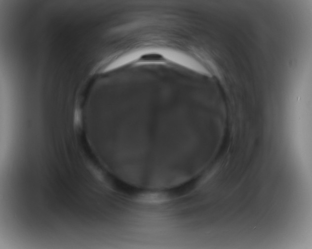 X0000085300067200703302010