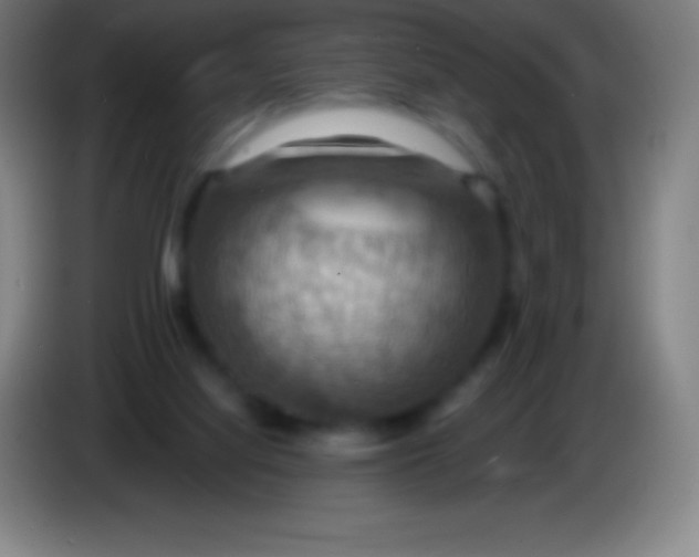 X0000085300068200703302010