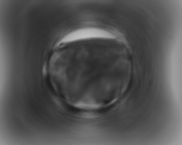 X0000085300069200703302010