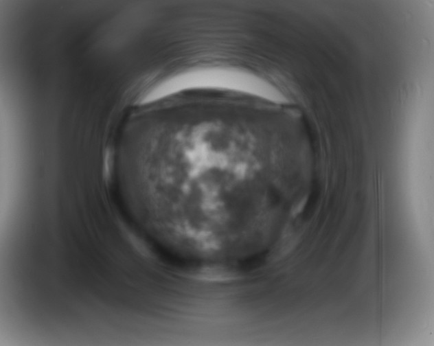 X0000085300070200703302010
