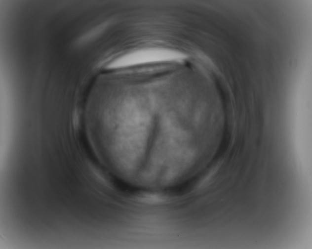X0000085300071200703302010