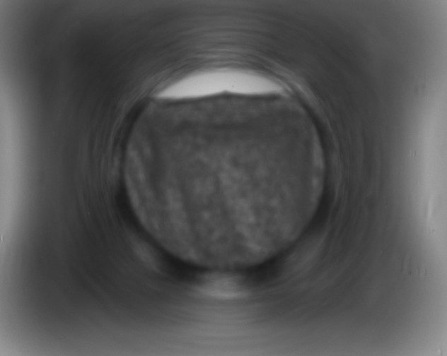 X0000085300073200703302010