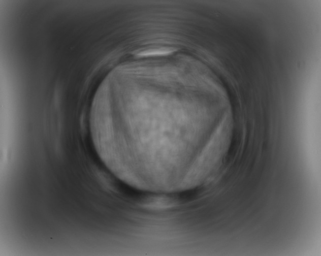 X0000085300074200703302010