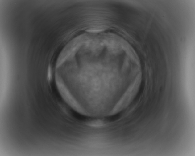 X0000085300075200703302010