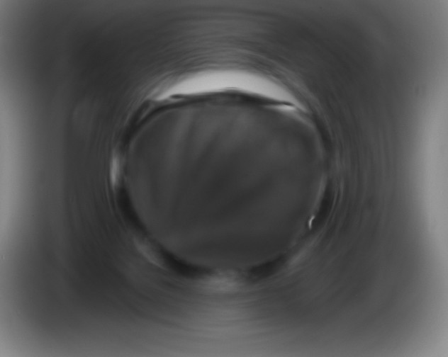 X0000085300076200703302010