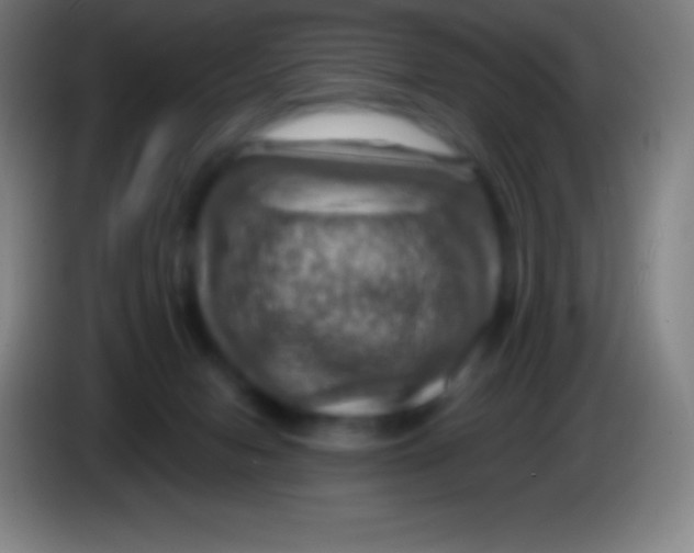 X0000085300078200703302010
