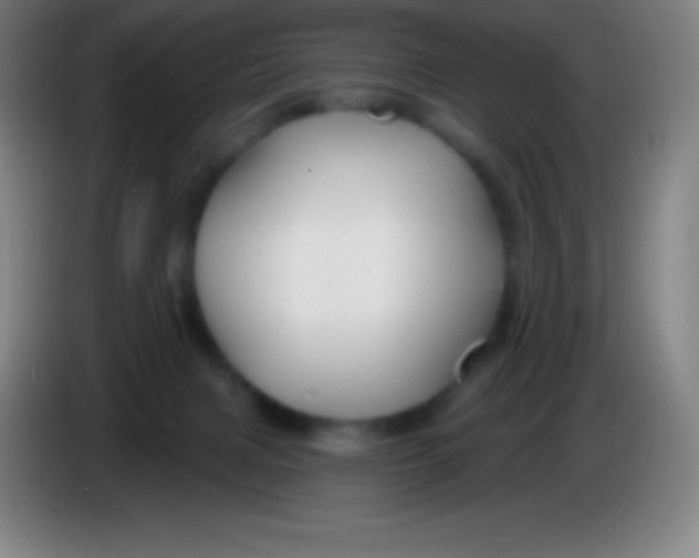 X0000085300079200703302010