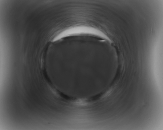 X0000085300080200703302010