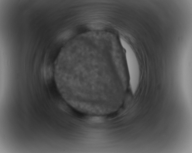 X0000085300081200703302010