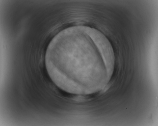 X0000085300082200703302010