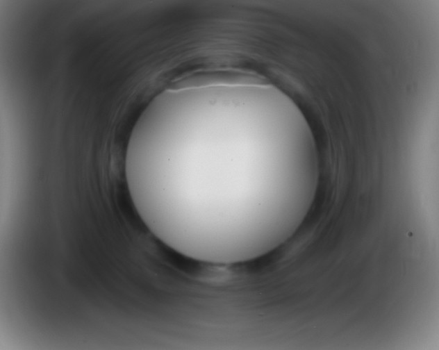 X0000085300083200703302010