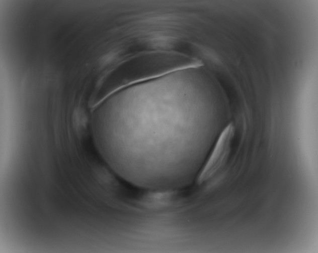 X0000085300084200703302010