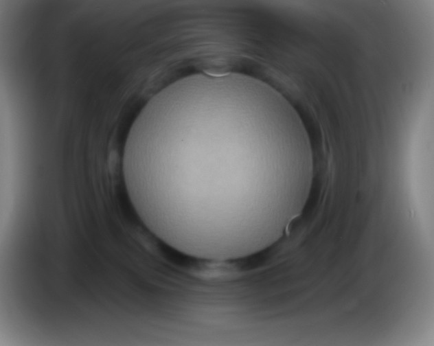 X0000085300087200703302010