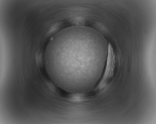 X0000085300088200703302010
