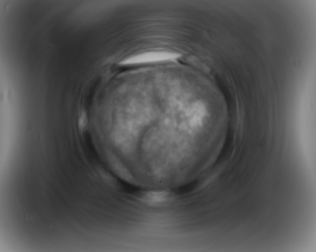 X0000085300089200703302010