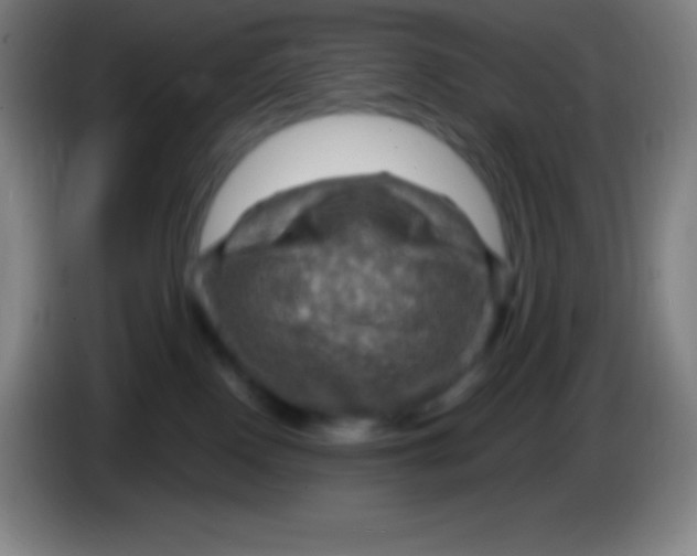 X0000085300090200703302010
