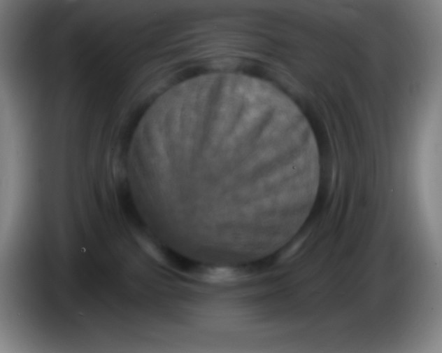 X0000085300091200703302010