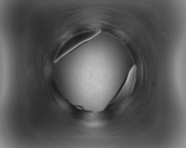 X0000085300092200703302010