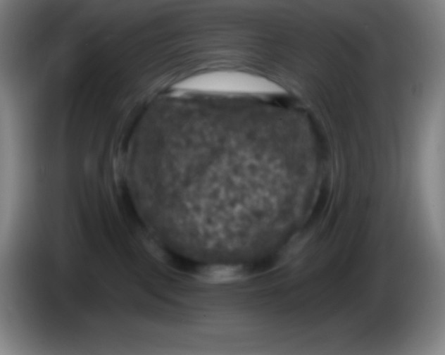 X0000085300093200703302010
