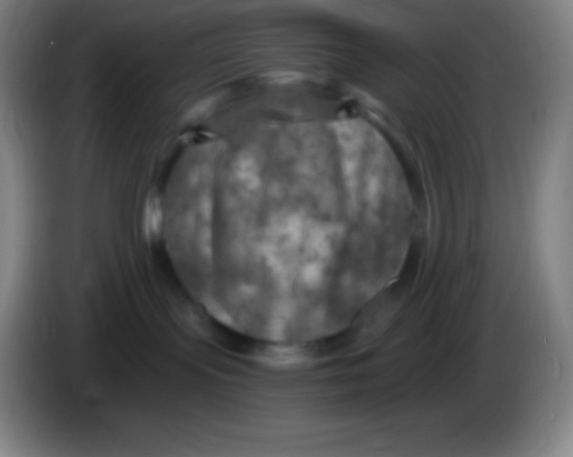 X0000085300095200703302010