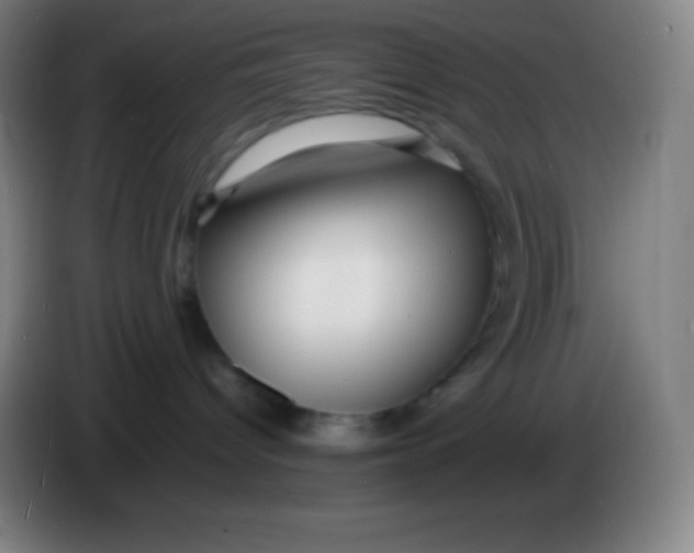 X0000085300096200703302010