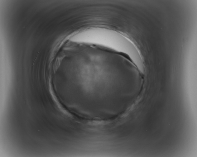X0000085300097200703302009