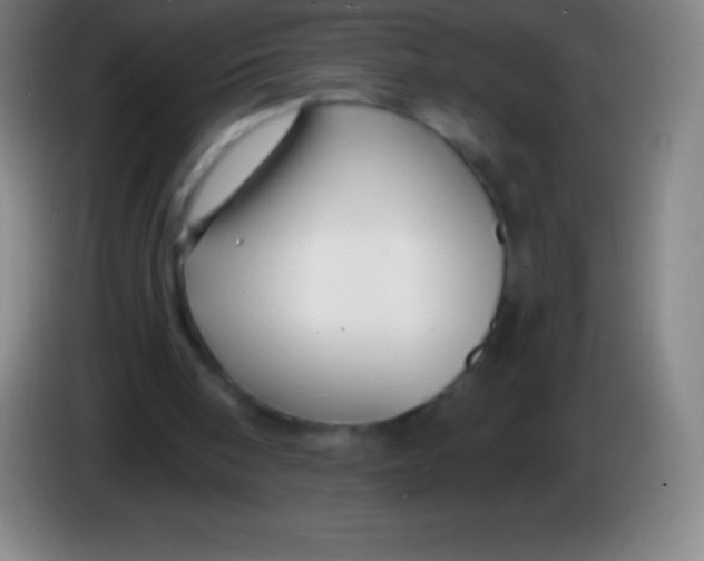 X0000085300098200703302009