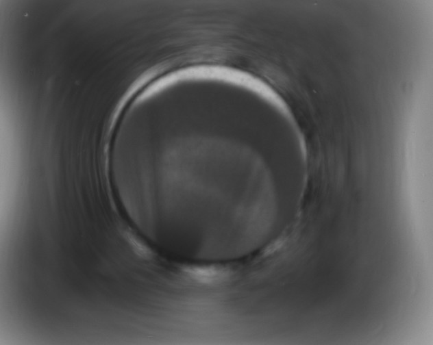 X0000085300100200703302009