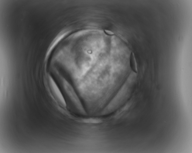 X0000085300102200703302009