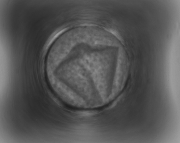 X0000085300103200703302009