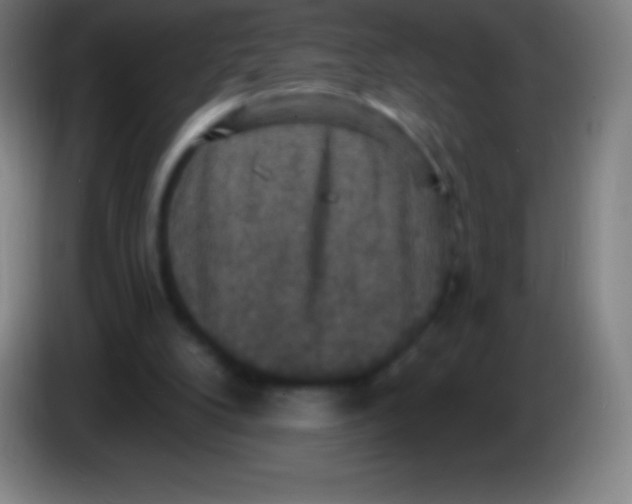 X0000085300104200703302009