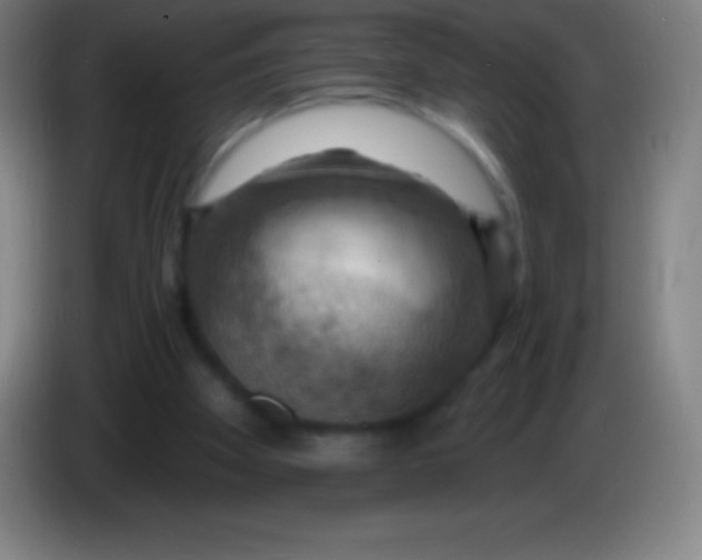 X0000085300105200703302009