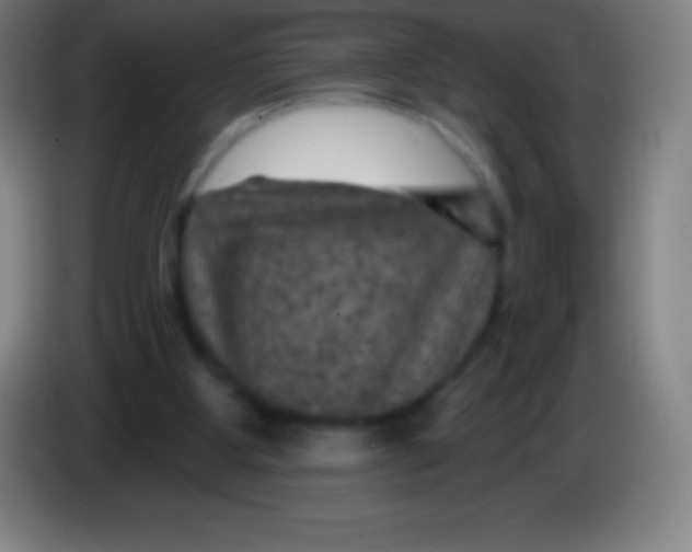 X0000085300107200703302009