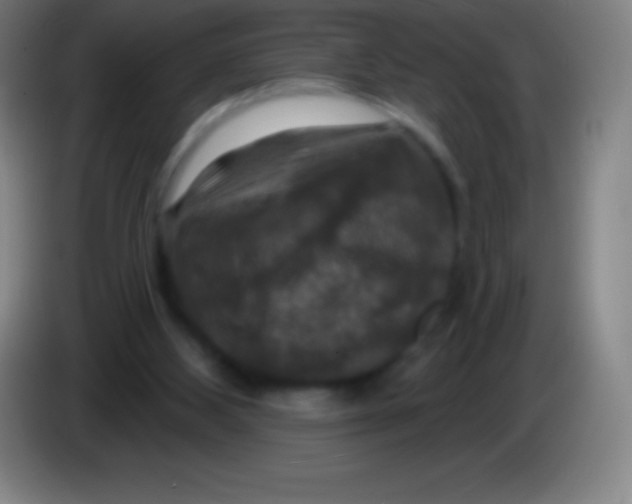 X0000085300108200703302009