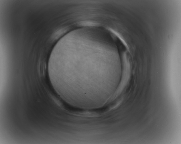 X0000085300109200703302009