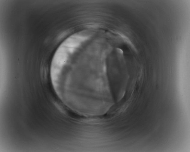 X0000085300110200703302009