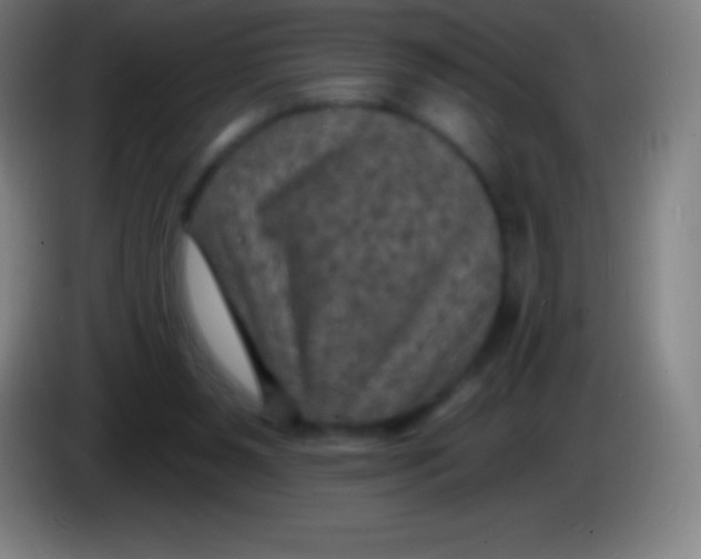 X0000085300111200703302009