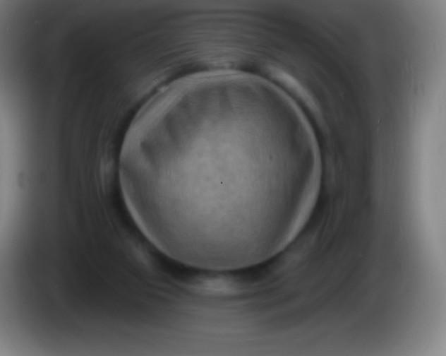 X0000085300113200703302009