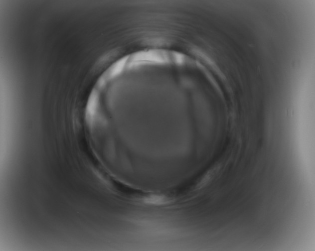 X0000085300114200703302009