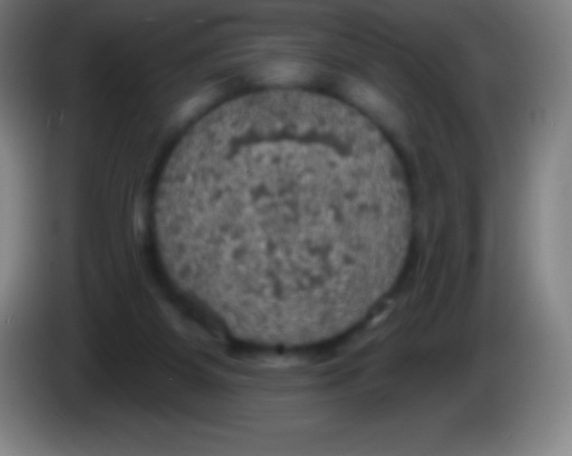 X0000085300115200703302009