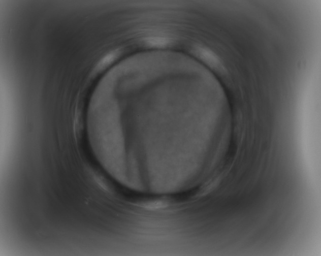 X0000085300116200703302009