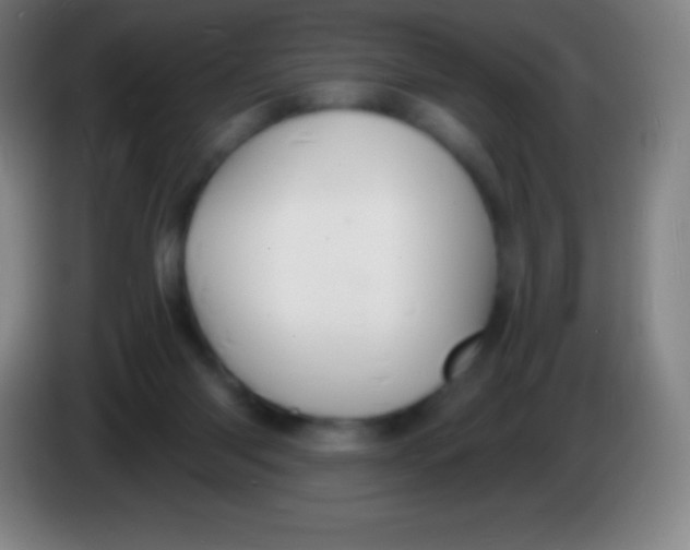 X0000085300118200703302009