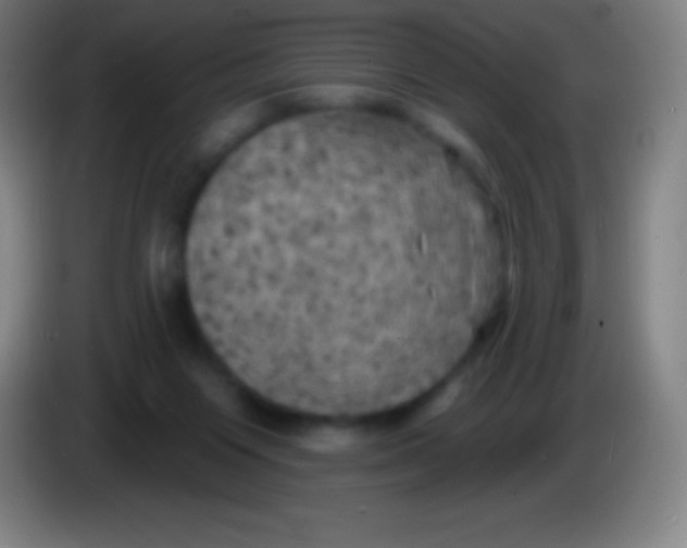 X0000085300119200703302009