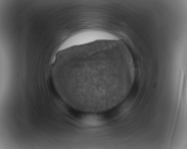 X0000085300123200703302009