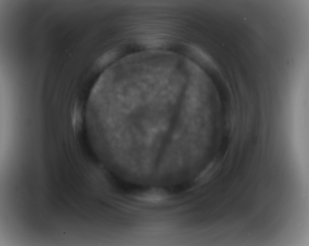 X0000085300124200703302009