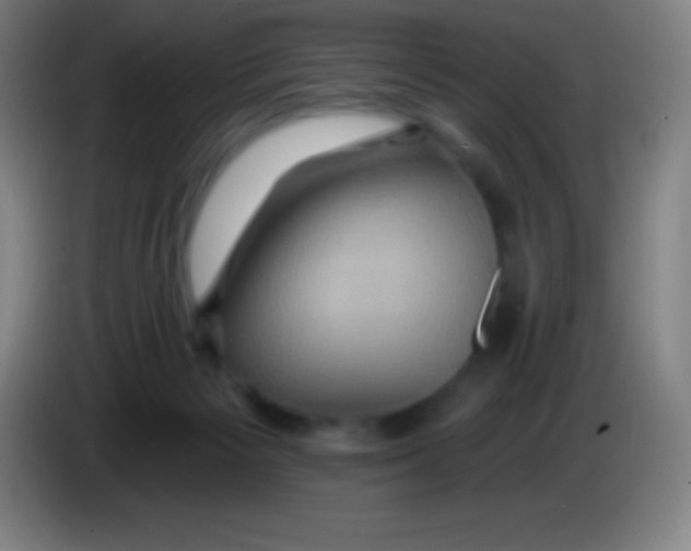 X0000085300125200703302009