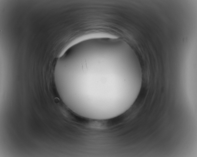 X0000085300126200703302009